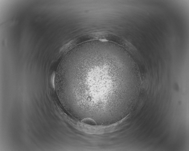 X0000081290047200701181820