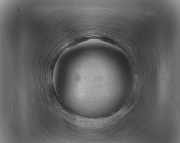 X0000081290048200701181820