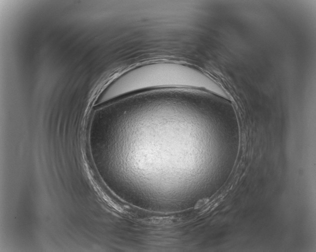 X0000081290049200701181820