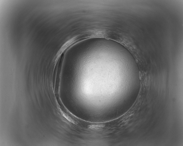 X0000081290051200701181820