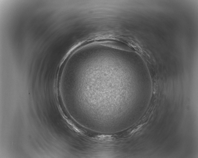 X0000081290052200701181820