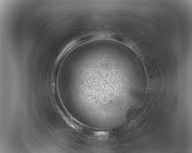 X0000081290053200701181820