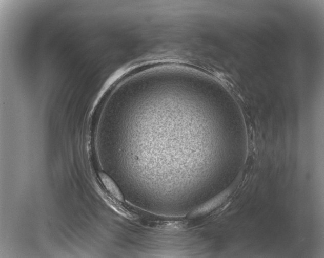 X0000081290056200701181820