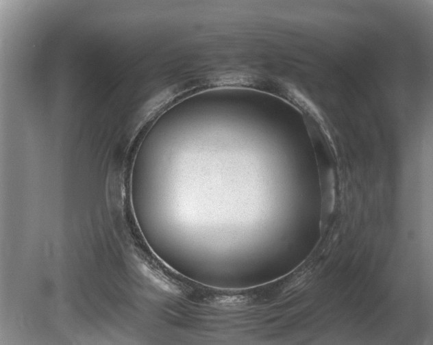 X0000081290059200701181820