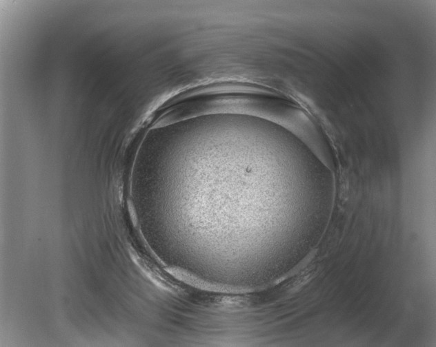 X0000081290060200701181820