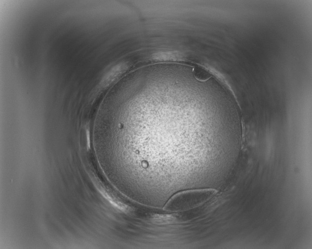 X0000081290061200701181820