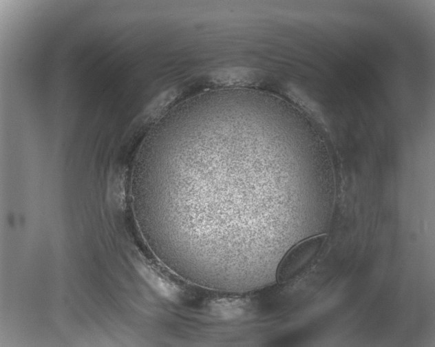 X0000081290065200701181820