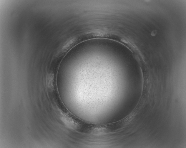 X0000081290066200701181820