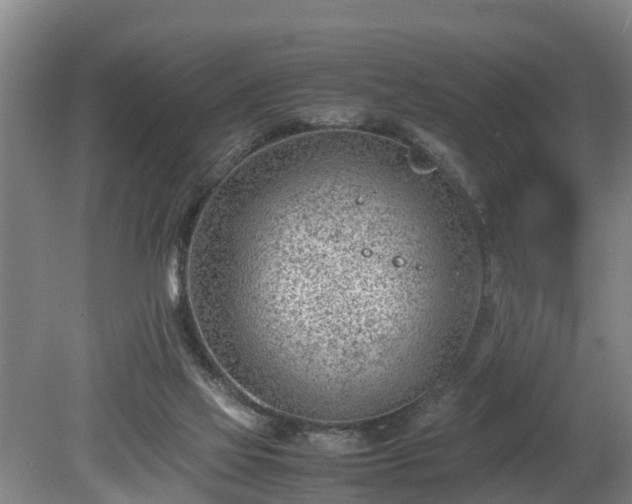 X0000081290069200701181820