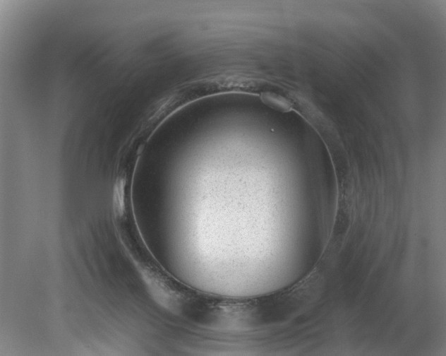 X0000081290070200701181820