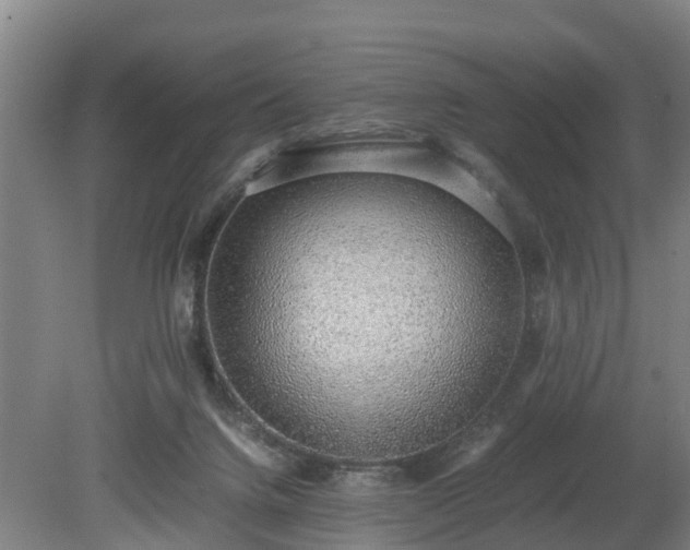 X0000081290072200701181820