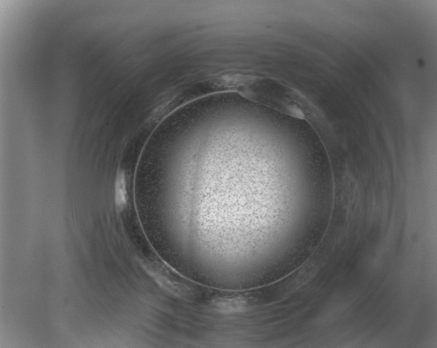 X0000081290075200701181820