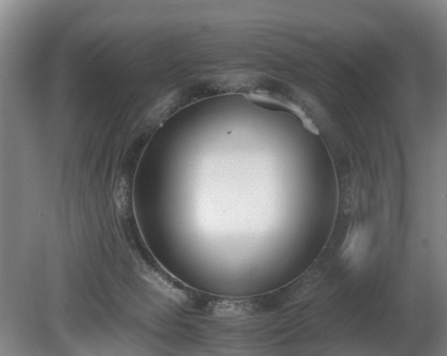 X0000081290077200701181820