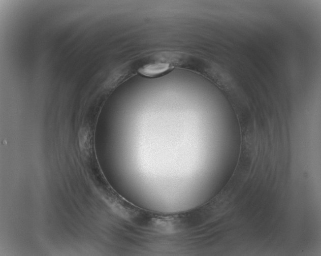 X0000081290079200701181820