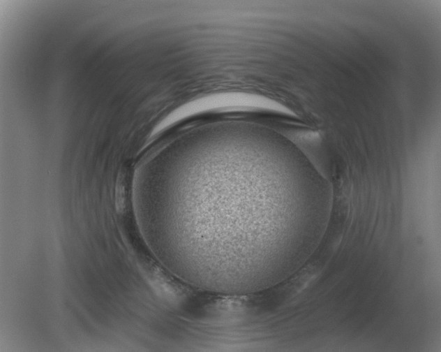 X0000081290080200701181820