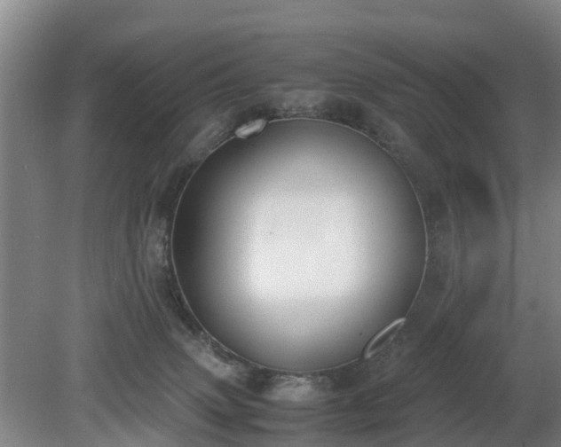 X0000081290083200701181820