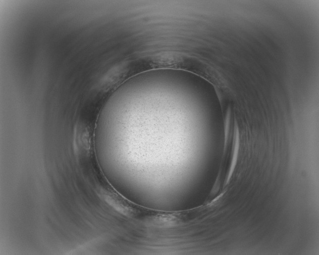 X0000081290086200701181820