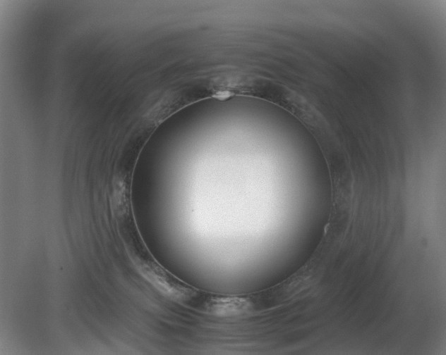 X0000081290087200701181820