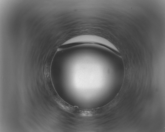 X0000081290091200701181820