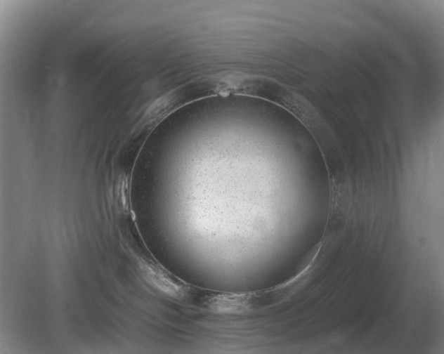 X0000081290094200701181820