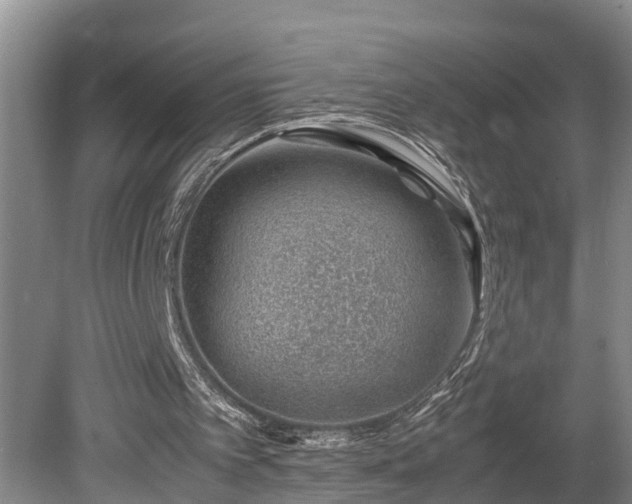 X0000081290097200701181820