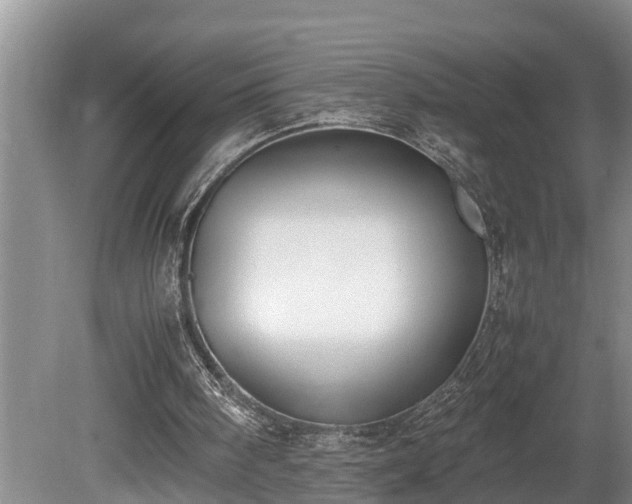 X0000081290098200701181819