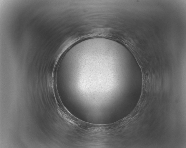 X0000081290100200701181819