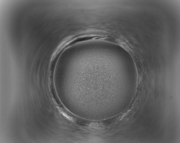 X0000081290101200701181819