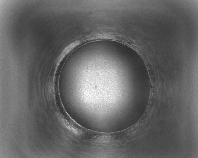 X0000081290104200701181819