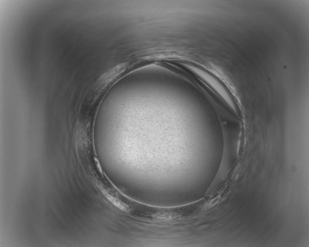 X0000081290105200701181819