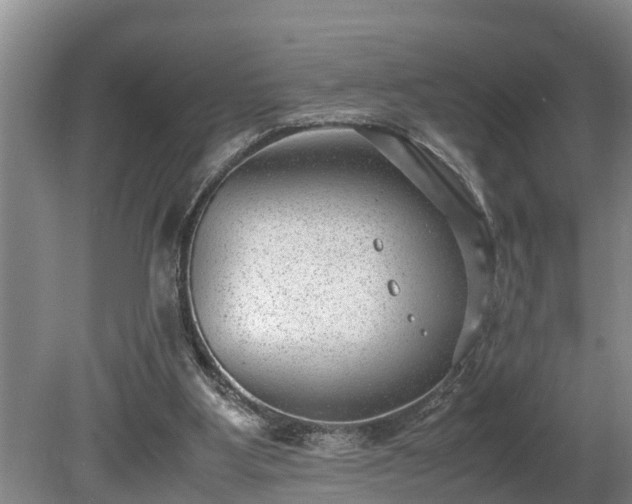 X0000081290107200701181819