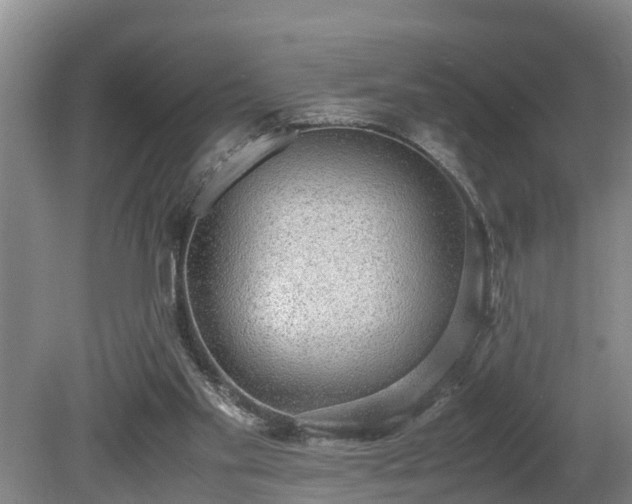 X0000081290109200701181819