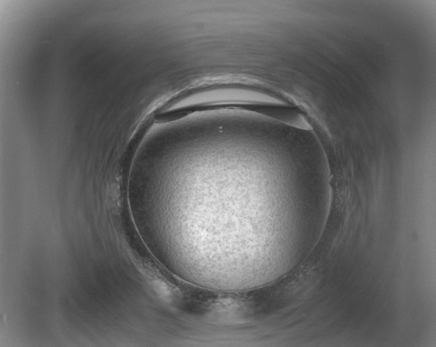 X0000081290111200701181819