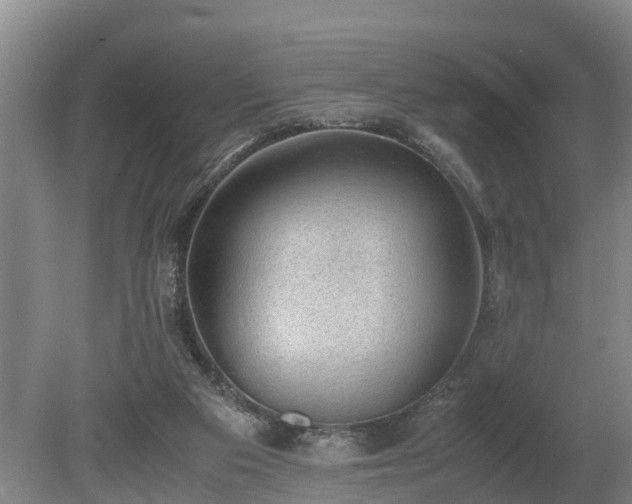 X0000081290113200701181819