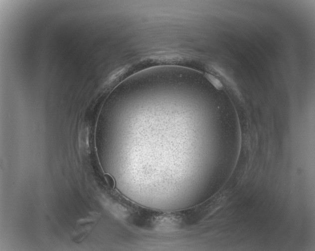 X0000081290115200701181819