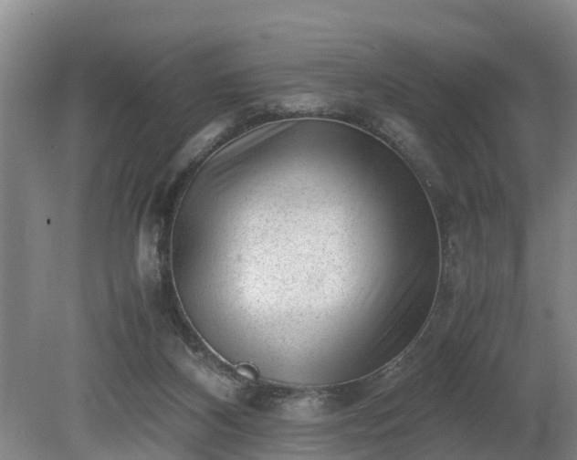 X0000081290116200701181819