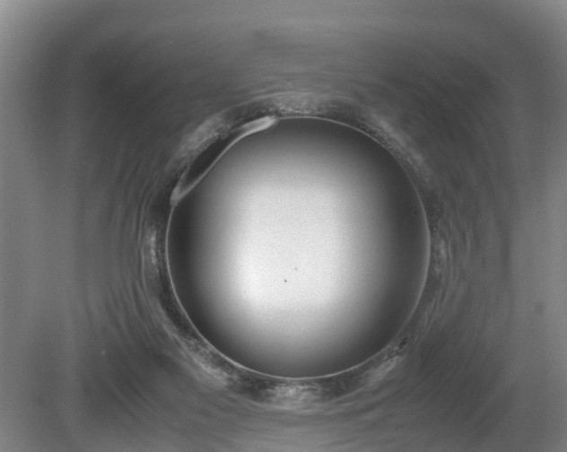 X0000081290117200701181819