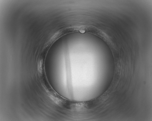 X0000081290118200701181819