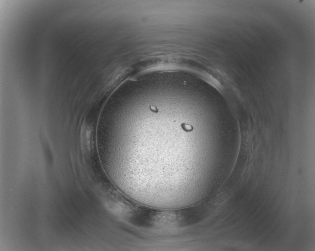 X0000081290123200701181819