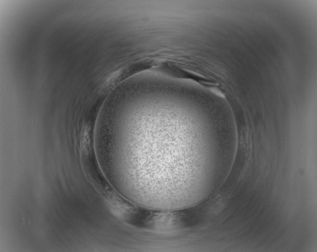 X0000081290127200701181819