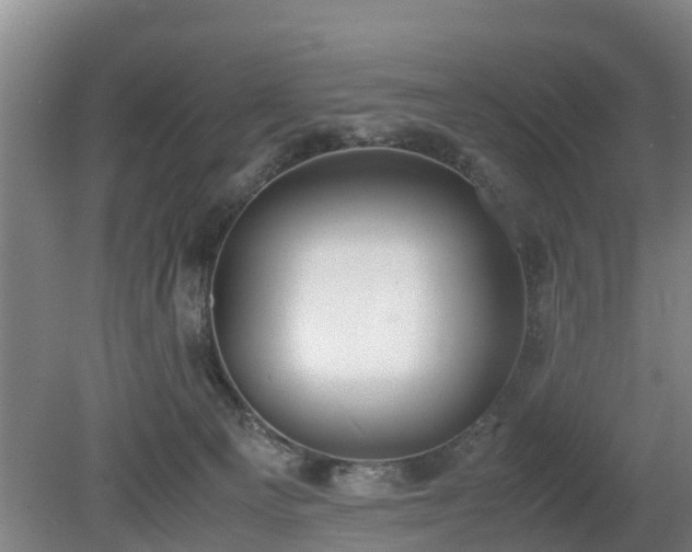 X0000081290129200701181819