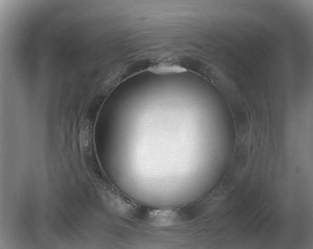 X0000081290133200701181819