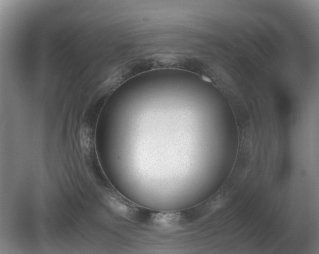 X0000081290135200701181819