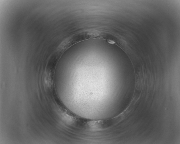 X0000081290136200701181819