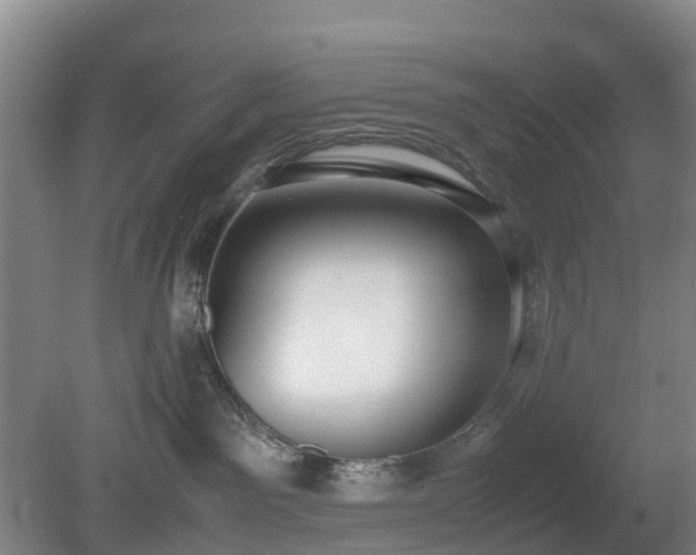 X0000081290141200701181819