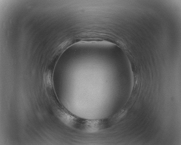 X0000081290143200701181819