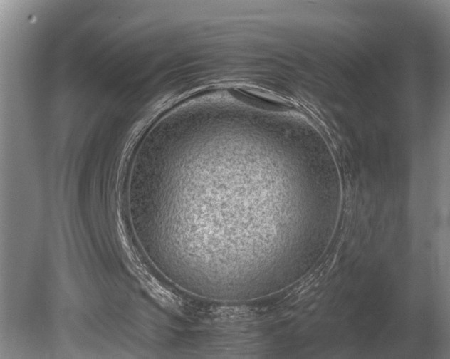 X0000081290145200701181818