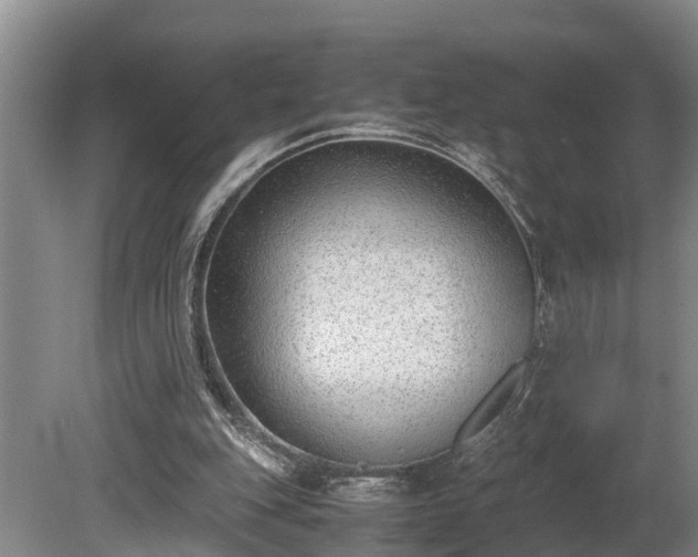 X0000081290151200701181818