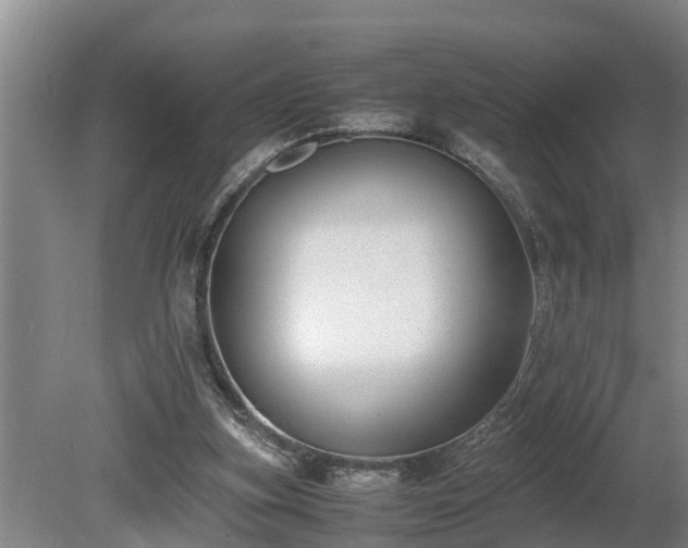 X0000081290155200701181818