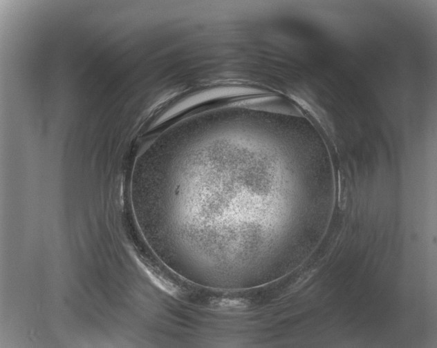 X0000081290157200701181818